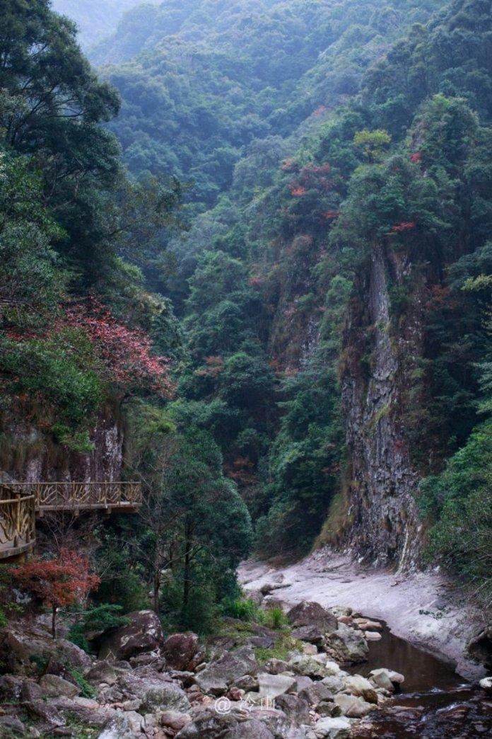 雷竞技与亚博