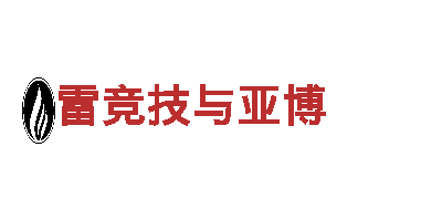 k1体育棋牌app-股份公司